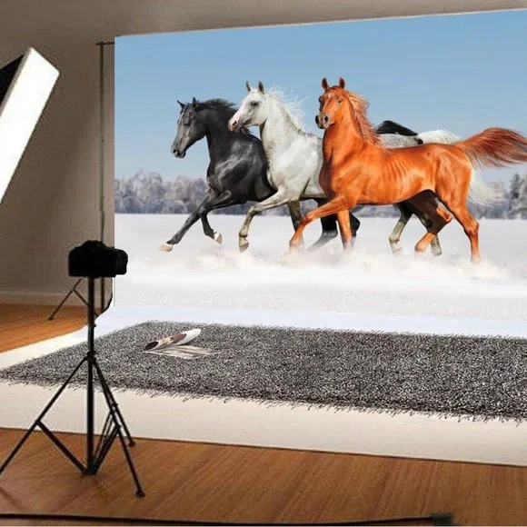 Photography background - Picture 2 of 4